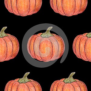 Orange pumpkins isolated on black background. Seamless pattern. Halloween or Thanksgiving Day decoration. Hand drawn illustration.