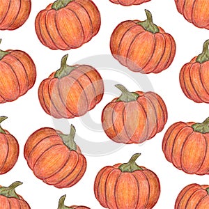 Orange pumpkins isolated on white background. Seamless pattern. Halloween or Thanksgiving Day decoration. Hand drawn illustration.