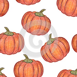 Orange pumpkins isolated on white background. Seamless pattern. Halloween or Thanksgiving Day decoration. Hand drawn illustration.