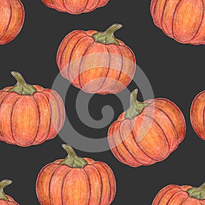 Orange pumpkins Seamless pattern. Dark background. Halloween or Thanksgiving Day decoration. Hand drawn illustration. Harvest