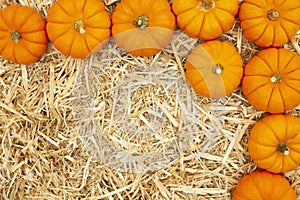 Orange pumpkins on straw hay background