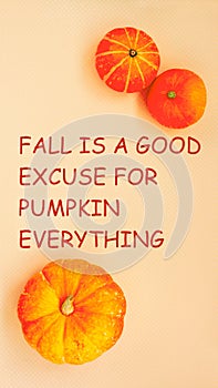 Orange pumpkins with text, Fall is a good excuse for pumpkin everything