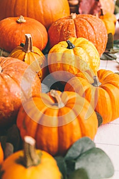 Orange pumpkins on white table in cafe photo