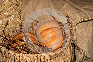 Orange pumpkins in the wicker basket on background of sackcloth