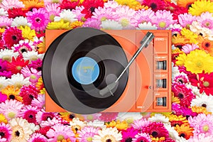 Orange record player in front of colorful blooming gerbera flowers