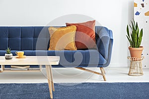 Orange and red cushions on a fancy, navy blue sofa and a basic, wooden coffee table on a blue rug in a white living room interior.