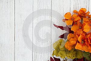 Orange and red fall flowers on weathered whitewash textured wood background photo