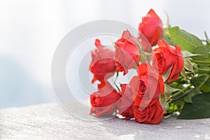 Orange red roses on the grey table in sunny day. Copy space. Birthday, Mother`s, Valentines, Women`s, Wedding Day concept