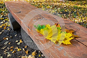 Orange, red, yellow and green autumn leaves of linden and maple, lying on wooden bench made of wide board and log linings.