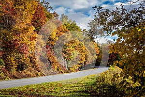 OrangeÃ¯Â¼Å reds and yellows dominate the roadsides in autumn on the Blue Ridge Parkway photo