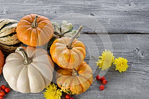 Orange ripe pumpkins on grey wooden table background. Autumn beautiful still life for thanksgiving or Halloween with copy space