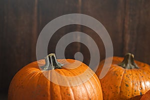 Orange ripe pumpkins a symbol of Halloween and Thanksgiving day, autumn harvest on wooden background