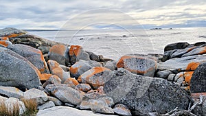 Orange Rocks of the Bay of Fires overlooking the shore Tasmania Australia