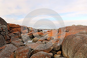 Orange Rocks of the Bay of Fires overlooking the shore Tasmania Australia