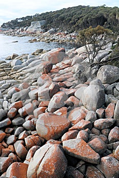 Orange Rocks of the Bay of Fires overlooking the shore Tasmania Australia