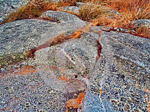 Orange Rocks, Bay of Fires, Tasmania, Australia