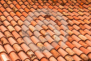 Orange roof shingles. Italian background, Trieste.
