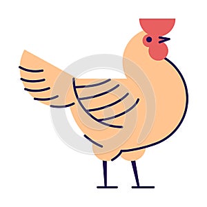 Orange rooster flat vector illustration. Cock isolated on white background. Poultry farm, hennery cartoon logo. Domestic