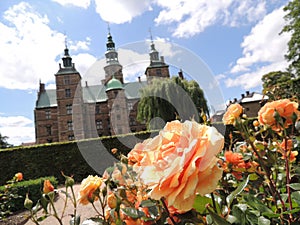 Orange rose, with blurred castle in the back.