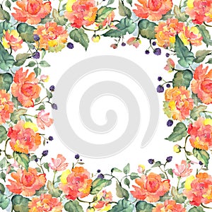 Orange rose bouquet floral botanical flowers. Watercolor background illustration set. Frame border ornament square.