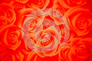 Orange rose on ceiling dome