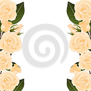 Orange Rose Flower Frame Border. isolated on White Background. Vector Illustration.