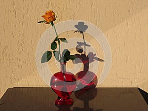 Orange rose in red bottle