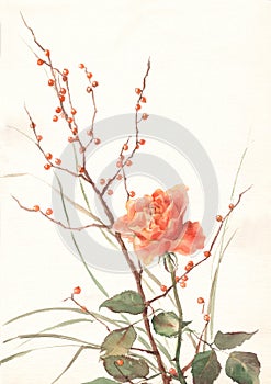 Orange rose watercolor painting