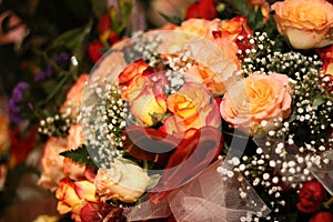 Orange roses