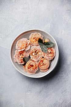 Orange roses floating in water on concrete background, SPA and relaxation concept