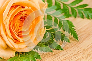 Orange roses flower Beautiful fresh in on a table.