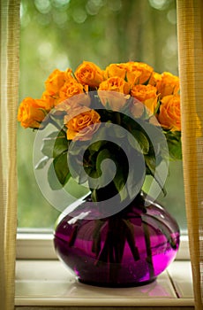 Orange roses in a glass purple vase