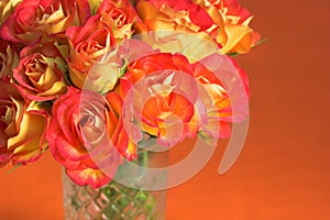 Orange Roses in glass vase