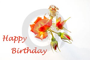 Orange roses in glass vase and Happy birthday text