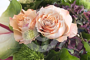Orange Roses and Hortensia, Hydrangea. Flowering filled beautiful orange roses in bouquet.