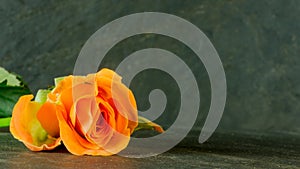 Orange roses on slate