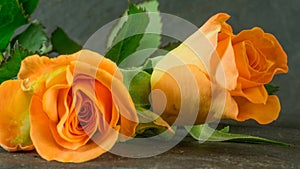 Orange roses on slate