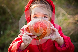 Orange round pumpkin in the hands of a little Caucasian girl in a bright red jacket with a hood. Focus on the pumpkin. Harvest fes
