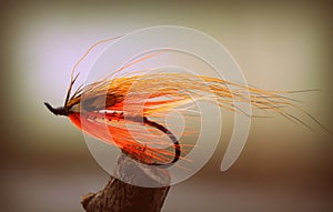 Orange salmon shrimp fly for fly fishing