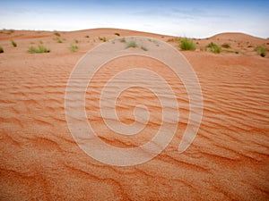 Orange sand of the Wahiba desert, Oman