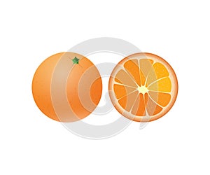 Orange in the section. Ilustration on a white background.