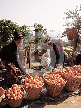 Orange sellers, Nepal