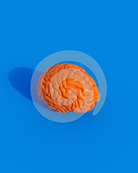 Orange shiny brain human mind intelligence organ anatomy sunlight blue background