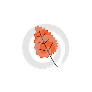 Orange simple single quaking aspen leaf isolated