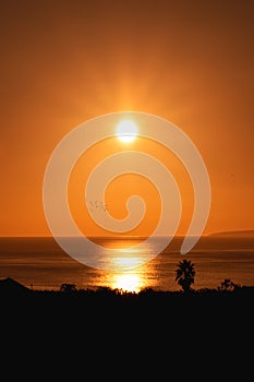 Orange sky background, Sunrise at Capelas, Azores, Portugal photo