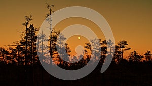 Orange sky and Moon at sunset