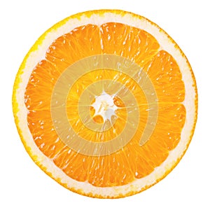 Orange slice photo