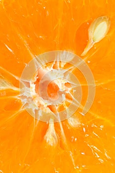 Orange slice background