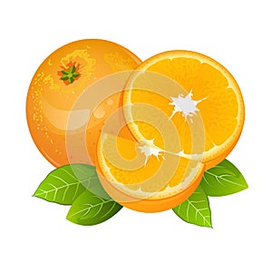 Orange slice fruit icon vector set. Realistic juicy orange with leaves