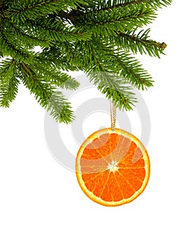 Orange slice on green christmas tree branch as decoration on white background